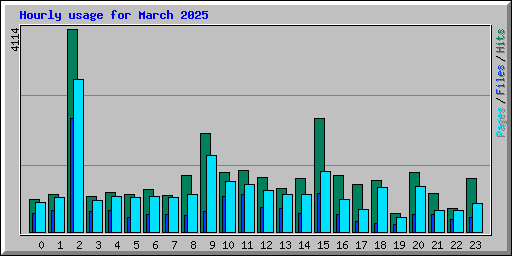 Hourly usage for March 2025