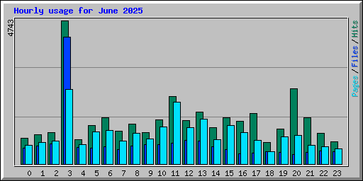 Hourly usage for June 2025