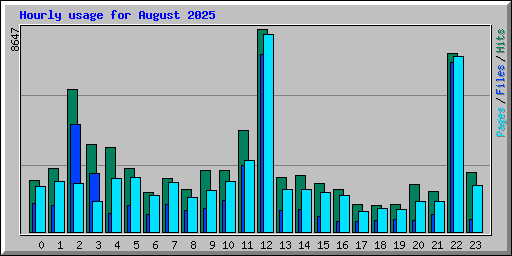 Hourly usage for August 2025