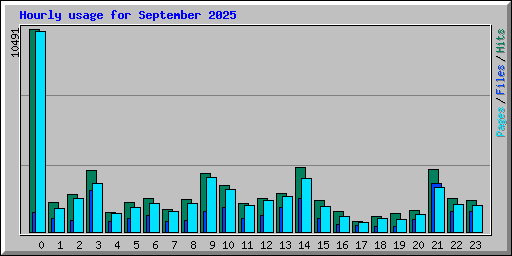 Hourly usage for September 2025