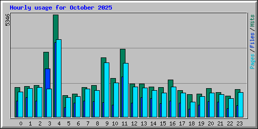 Hourly usage for October 2025