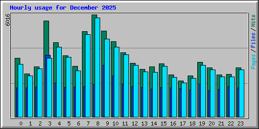 Hourly usage for December 2025