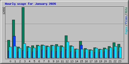 Hourly usage for January 2026